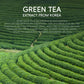 Green Tea Facial Cleanser 50g Skin Deep Cleansing Moisturizing Blackhead Removal Skincare Face Wash Foam Face Cleanser Skin Care
