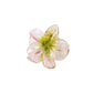 New Fashion Sparkling Flower Claw Clip for Women Transparent Sweet Ponytail Shark Clip Versatile Girl Hair Accessories