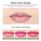 12pc/SET 3.5g Color Changing Tinted Lip Balm Lipstick Aloe Vera Lipstick Moisturizing Long Lasting Lipsticks lip balm wholesale