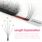 SEEDEW Wispy W Shaped 5D Eyelash Extension Premade Volume Fans False Eyelashes Natural Soft Lashes