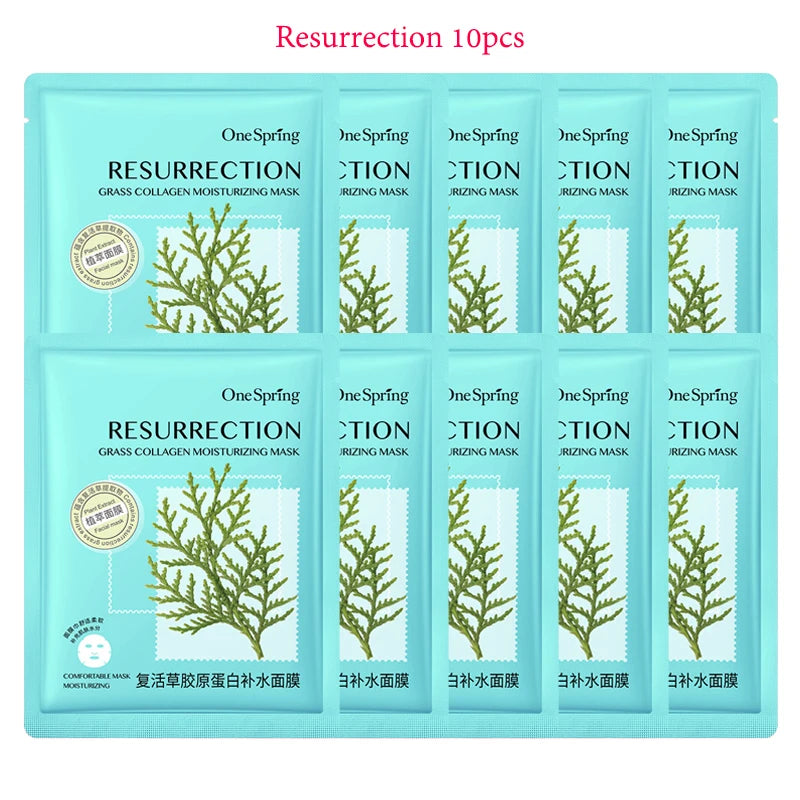 10pcs Centella Facial Masks Moisturizing Oil Control Anti-aging Repairing Fresh Fruits Face Sheet Mask Face Care skincare Masks
