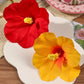 2pcs Boho Style Oversized Faux Flower Hair Clip Set, Elegant Beach Side-Bang Decor Headpieces Claw Clips Hair Claws Hair Barrettes, School Stuff, Pink Hair Clips, Vacation Outfits Woman, Girly, Hair Accessories, Valentines Ac