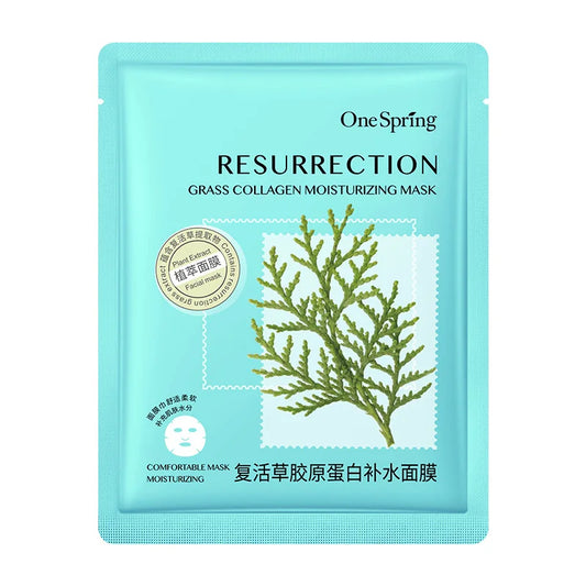 10pcs Centella Facial Masks Moisturizing Oil Control Anti-aging Repairing Fresh Fruits Face Sheet Mask Face Care skincare Masks