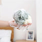 Shower Loofah Bath Sponge, Shower Pouf Balls for Body Wash, 45G Loofah Exfoliating Body Scrubber Mesh Shower Puff for Men Women