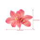 Bohemian Orchid Flowers Hair Clips Small Hairpin Bridal Barrette Beach Wedding Flower Women Holiday Hair Accessories