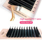 Goddess  Easy Fan Lashes  Faux Mink Eyelash Extension Fast Bloom Austomatic Flowering Self-Making Volume Soft Natural 5D 6D 10D