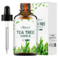30ml/60ml/100ml plant 100% pure tea tree body care essential oil lasting light fragrance suitable for face, skin and body