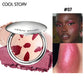 Pearlescent Sparkle Highlight Palette Bronze Shimmer Fine Powder Cream Glitter Eyeshadow Blusher Shiny Face Brightening Makeup