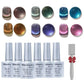 Cat Eye Gel Nail Polish 6 Colors Holographic Glitter Gel Polish Set With Magnet Translucent Gel Nail Polish  Home Manicure Salon