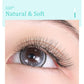 HOLLYLASH YY/W Shaped 2D 3D 4D 5D 6D Hand Woven Automatic Flowering Premade Volume Fans Eyelashes Extensions Individual Lashes