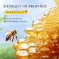 SADOER Honey Propolis Lipstick Plump Lips Moisturizing Nourishing Anti Wrinkle  Lip Balm Lip Plumper Cream Lips Skin Care