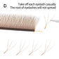 XIUSUZAKI Brown W Shaped 2D 3D 4D 5D YY Lashes Bloom Automatic Flowering Premade Fans Eyelashes Extensions Individual Lashes