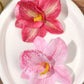 2pcs Boho Style Oversized Faux Flower Hair Clip Set, Elegant Beach Side-Bang Decor Headpieces Claw Clips Hair Claws Hair Barrettes, School Stuff, Pink Hair Clips, Vacation Outfits Woman, Girly, Hair Accessories, Valentines Ac