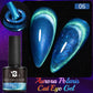 AWStorG 7.5ml Starlit Cat Magnetic Gel Nail Polish Must need Black Gel-Polaris Light Soak Off UV Gel Varnis Semi Permanent DIY