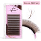 AGUUD 2D Y Lashes Extension Premade Voume Fans Faux Mink Eyelashes Premium Mesh Net Cross Lash Single Tips 2D Y Shaped Eyelashes