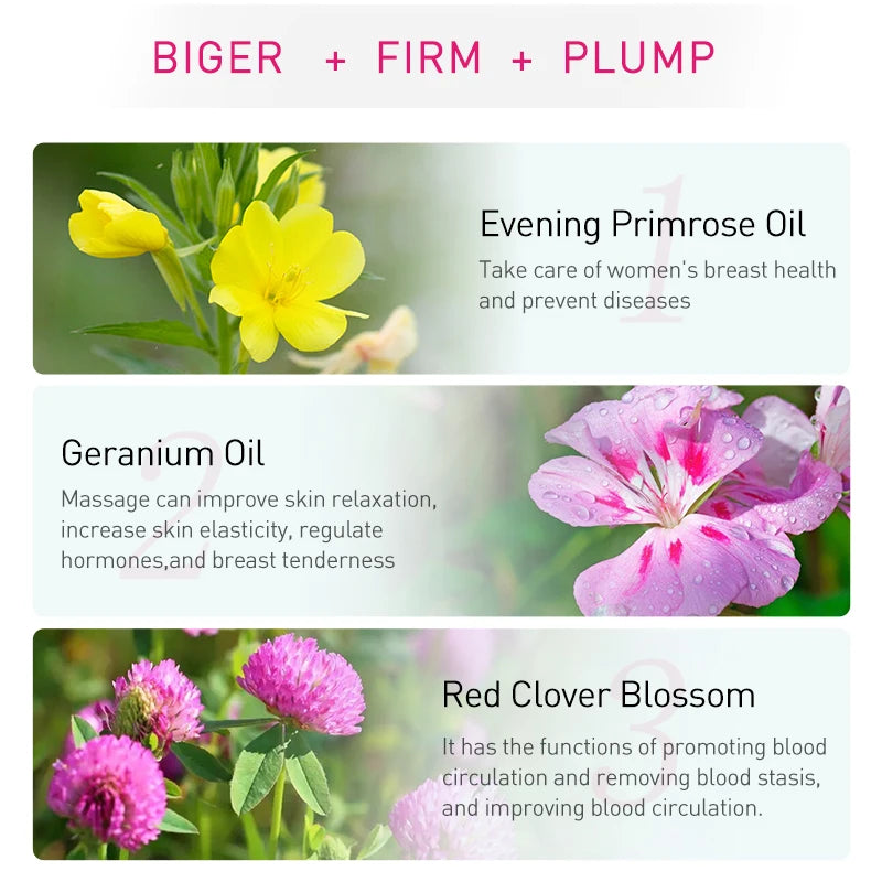 AUQUEST Breast Oil Firming Lifting Body Care Chest Natural Plants Essentials Oils Breast Fast Growth For Women Skincare Products